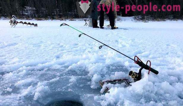 Vânătoare și pescuit în regiunea Perm: în special de pescuit, tipuri de vânătoare și pescuit
