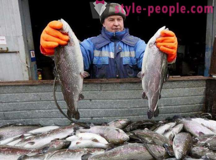 Pescuitul în pescari Khakassia Sfaturi