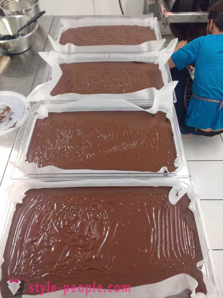 Procesul de creștere și de producere a ciocolatei
