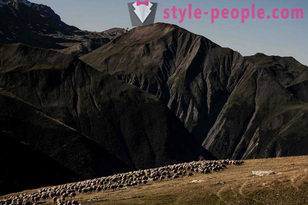 Viața ciobanului în Alpi