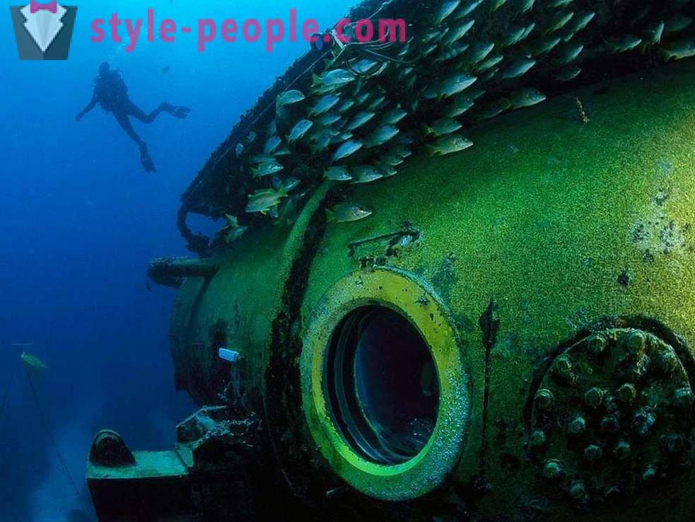 Locuitori uimitoare ale lumii subacvatice în imagini