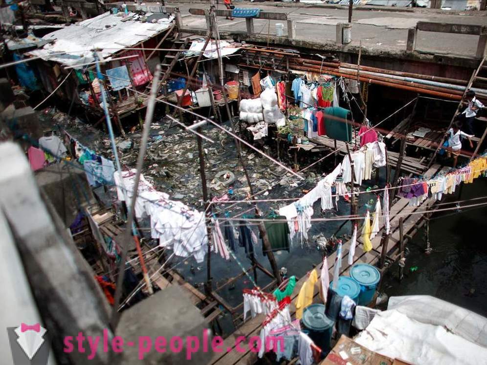 Mahalalele din Manila șopârliță vedere