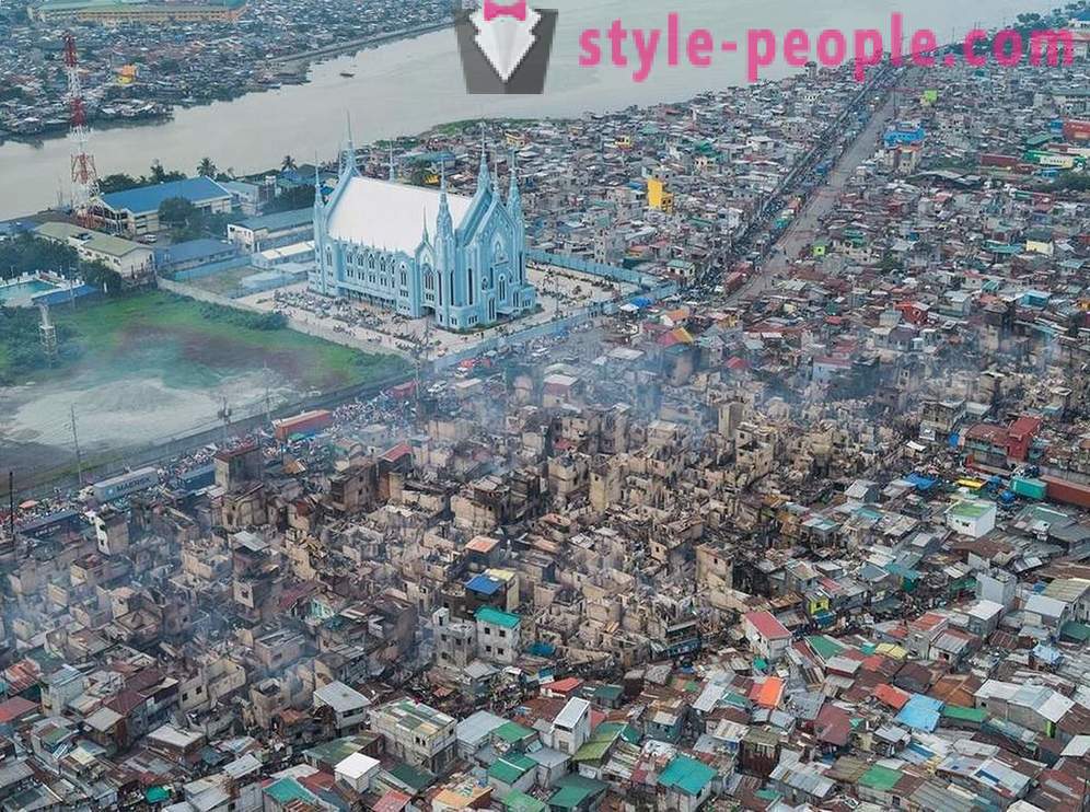 Mahalalele din Manila șopârliță vedere