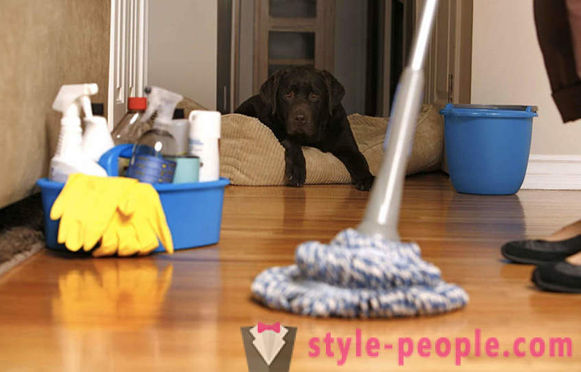 15 moduri de a curăța apartamentul rapid