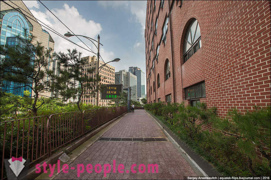 Cum de a insufleti jungla de beton în Seul