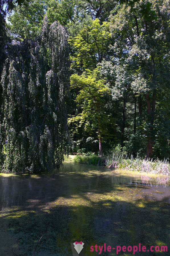 Excursie la perla de Boemia de Sud - castel Hluboka nad Vltavou