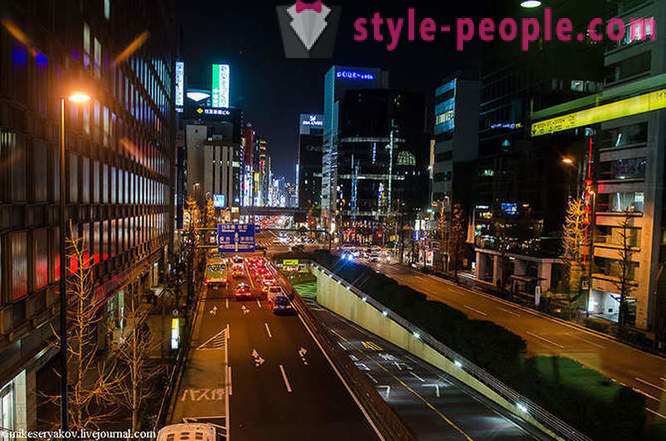 Un pic despre băile japoneze și o plimbare de-a lungul străzii principale din Tokyo
