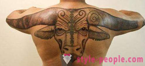 Tatuaj „Bull“ - valoarea desen pe corp