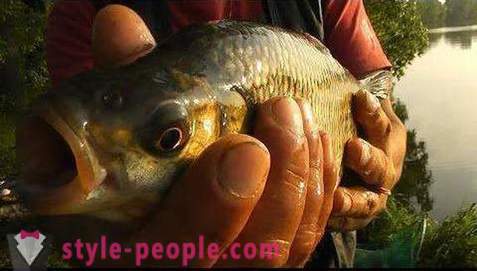 Pescuitul pe Pakhra: fotografii și comentarii. locuri de pescuit