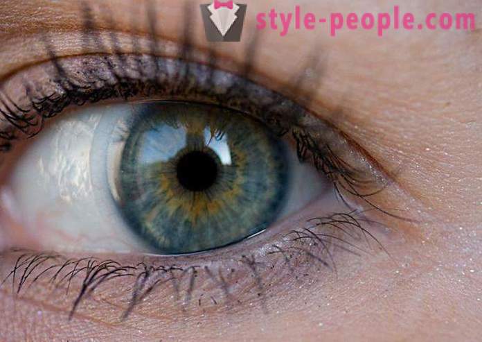 Culoarea ochilor mlaștină. Ce determină culoarea ochiului uman?