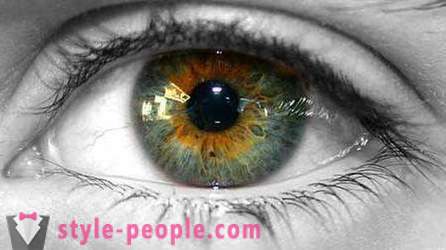 Culoarea ochilor mlaștină. Ce determină culoarea ochiului uman?