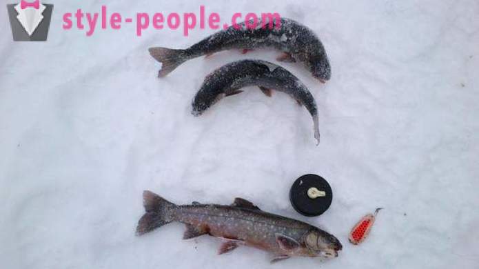 Fishers nota: pescuit păstrăv în timpul iernii