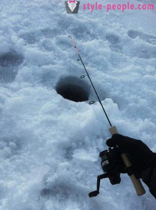 Pescuit burbot iarna pe zherlitsy. Prinderea burbot în timpul iernii trolling