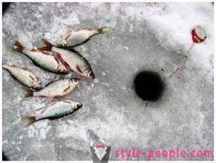 Pescuit plătică în timpul iernii: dedesubturile pentru pescarii începători